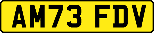 AM73FDV