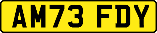 AM73FDY