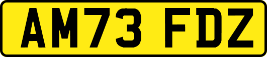 AM73FDZ