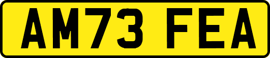 AM73FEA