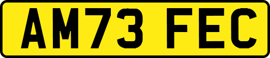 AM73FEC
