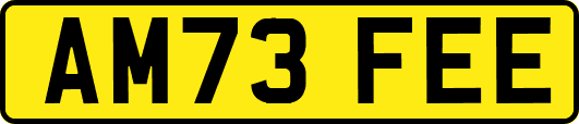 AM73FEE
