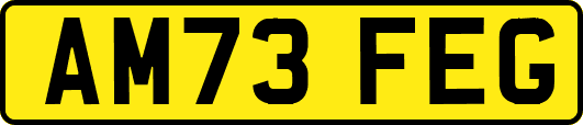 AM73FEG