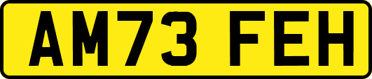 AM73FEH