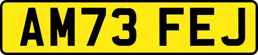 AM73FEJ