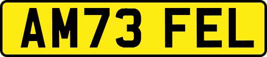 AM73FEL