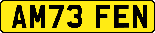 AM73FEN