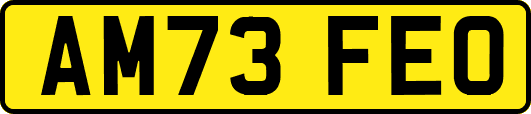 AM73FEO