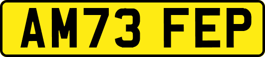 AM73FEP