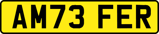 AM73FER