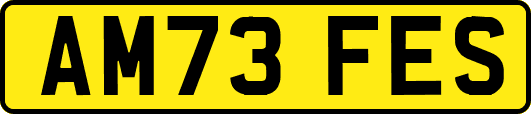 AM73FES