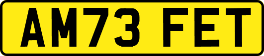 AM73FET