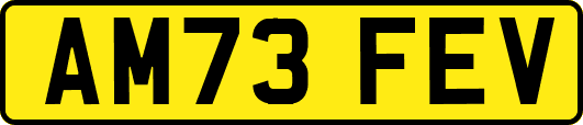 AM73FEV
