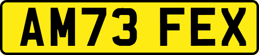 AM73FEX