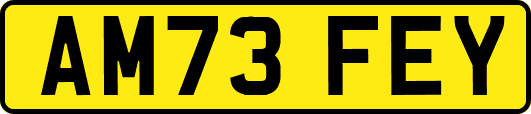 AM73FEY
