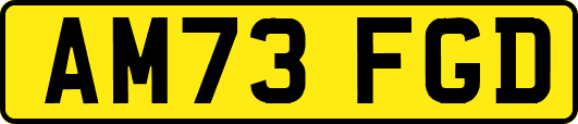 AM73FGD