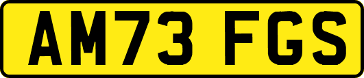 AM73FGS