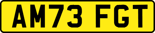 AM73FGT