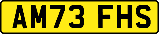 AM73FHS
