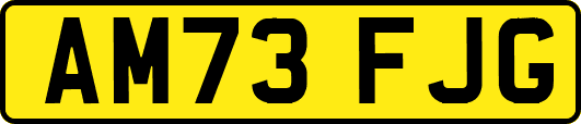 AM73FJG