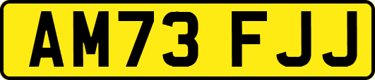 AM73FJJ