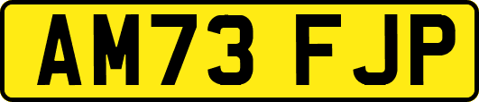 AM73FJP