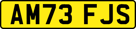 AM73FJS