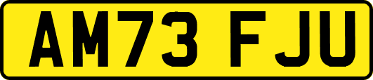 AM73FJU
