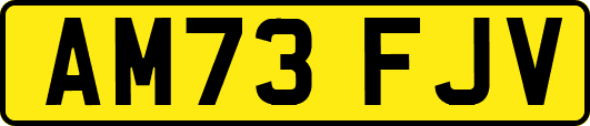 AM73FJV
