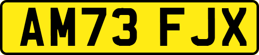 AM73FJX