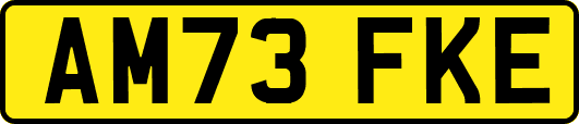 AM73FKE