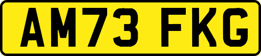 AM73FKG