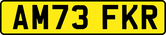 AM73FKR
