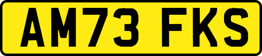 AM73FKS