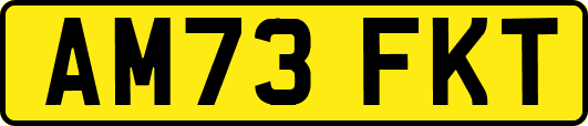 AM73FKT