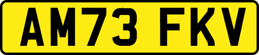 AM73FKV