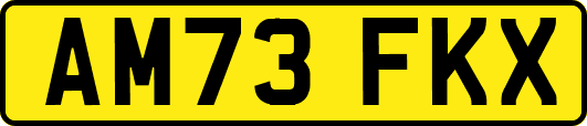 AM73FKX