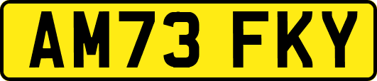 AM73FKY
