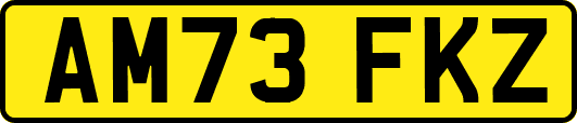 AM73FKZ