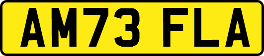 AM73FLA