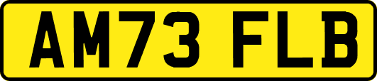 AM73FLB