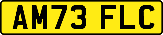 AM73FLC