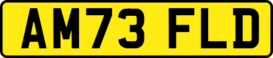 AM73FLD