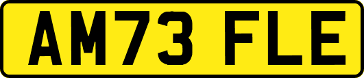 AM73FLE