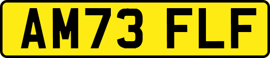 AM73FLF