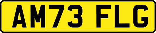 AM73FLG