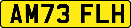 AM73FLH