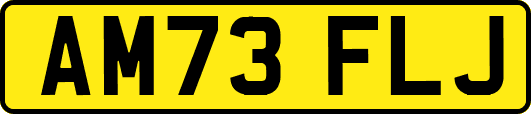 AM73FLJ