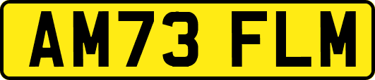 AM73FLM