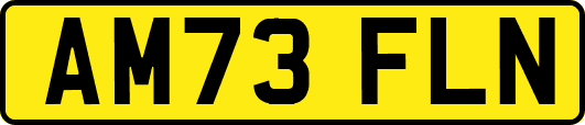 AM73FLN